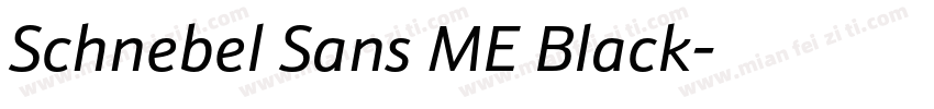 Schnebel Sans ME Black字体转换